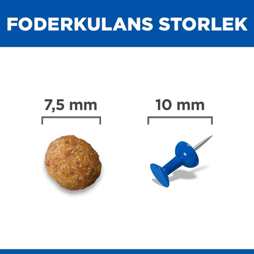 Hill's Adult Small & Mini hundfoder med lamm & ris