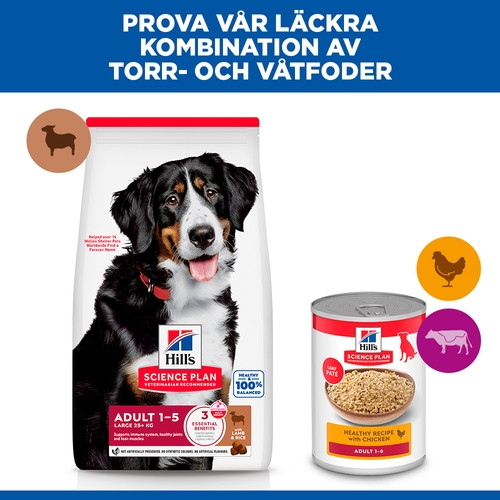 Hill's Adult Large hundfoder med lamm & ris