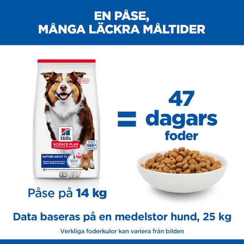Hill's Mature Adult Medium hundfoder med lamm och ris