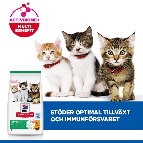 Hill's Kitten kattfoder med kyckling