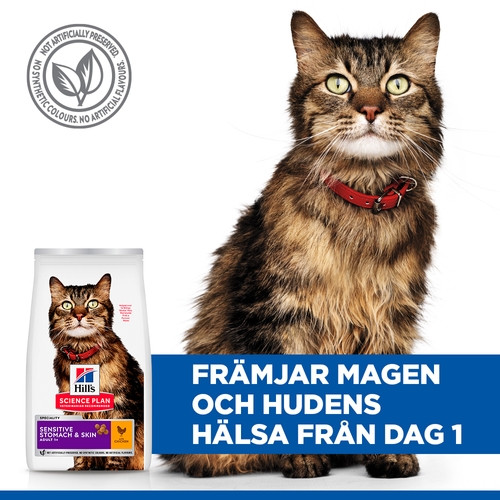 Hill's Adult Sensitive Stomach & Skin kattfoder med kyckling