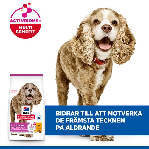 Hill's Senior Small & Mini hundfoder med kyckling