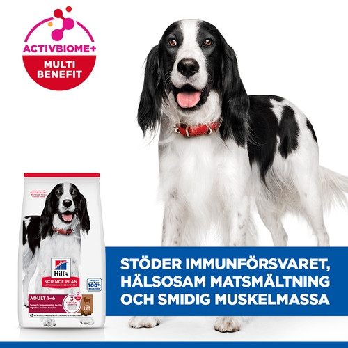 Hill's Adult Medium hundfoder med lamm och ris