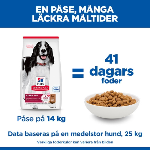 Hill's Adult Medium hundfoder med lamm och ris