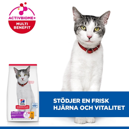 Hill's Senior 11+ kattfoder med kyckling