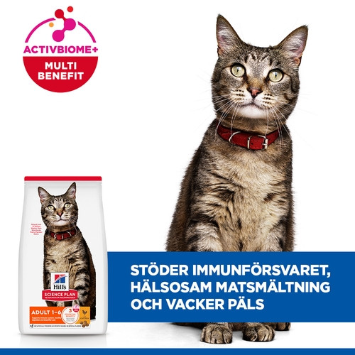Hill's Adult kattfoder med kyckling