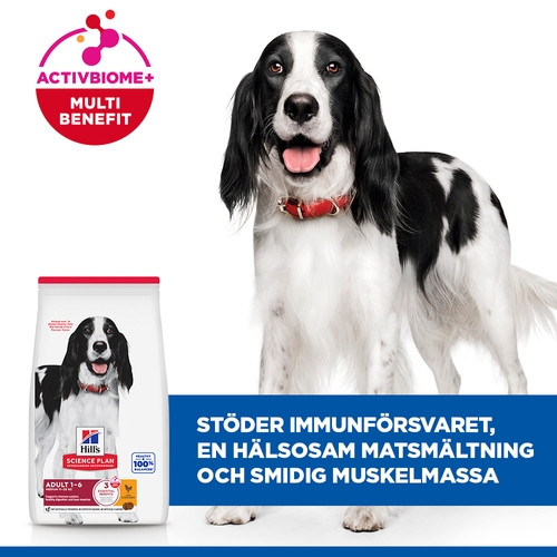Hill's Adult Medium hundfoder med kyckling