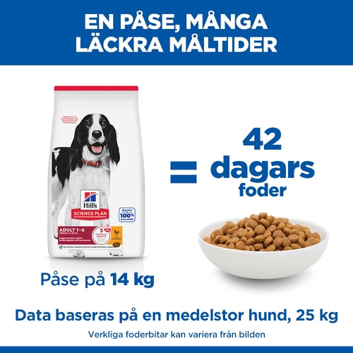 Hill's Adult Medium hundfoder med kyckling