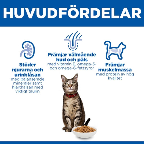 Hill's Adult kattfoder med lamm