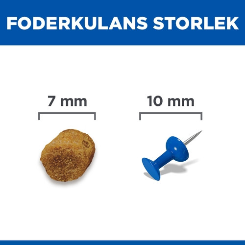 Hill's Adult kattfoder med lamm