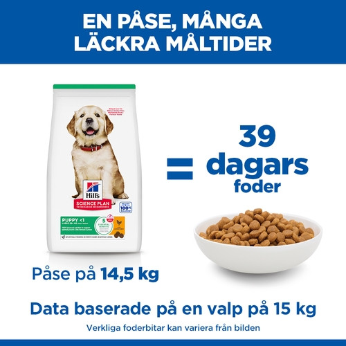 Hill's Puppy Large hundfoder med kyckling