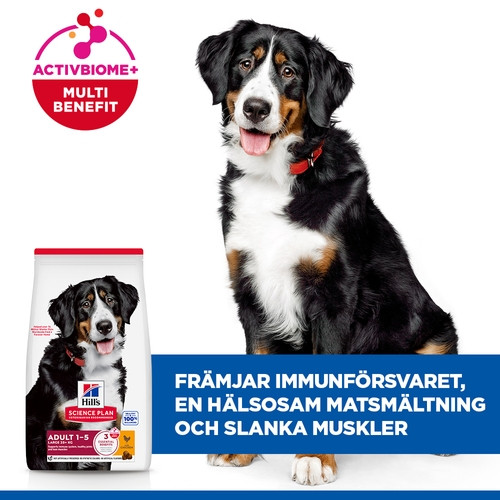 Hill's Adult Large hundfoder med kyckling