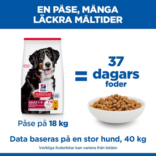 Hill's Adult Large hundfoder med kyckling