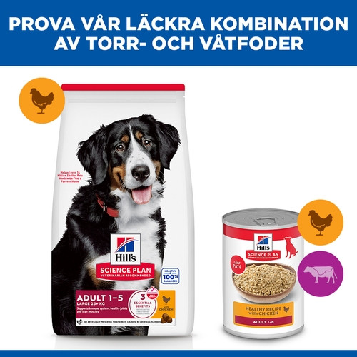 Hill's Adult Large hundfoder med kyckling