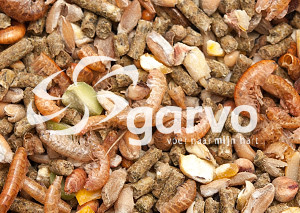 Garvo Alfagrow Pride 2080 mat för kycklingar