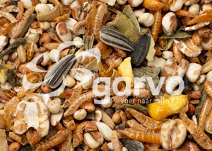 Garvo Pride Treats 2070 hönsgodis