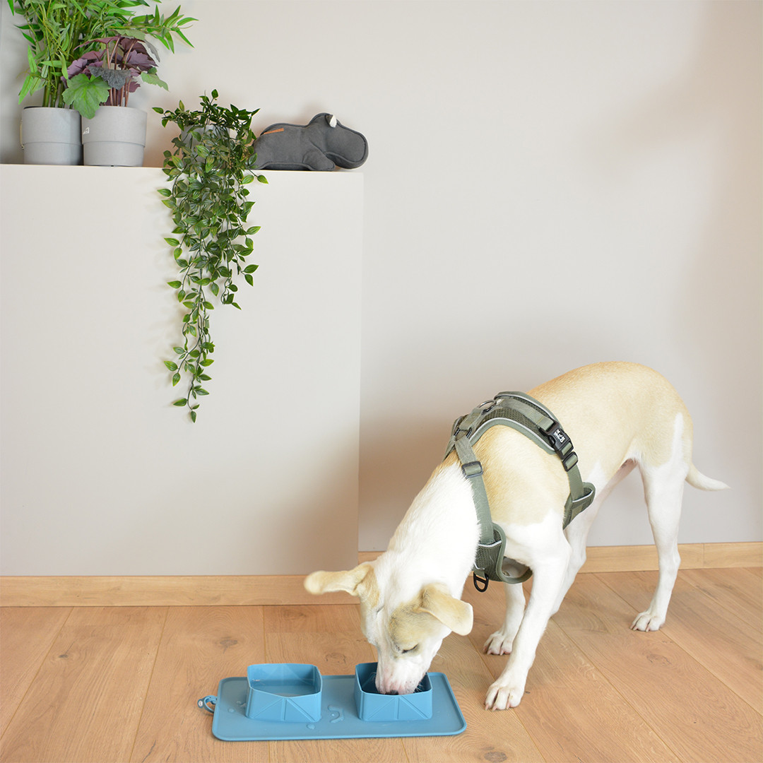 Silicone voerbakjes voor op reis (duo, oprolbaar)