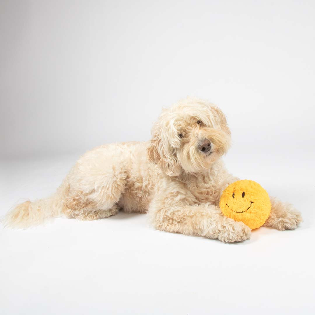 Giggly Gary pluchen smiley met bal en geluid hondenspeelgoed