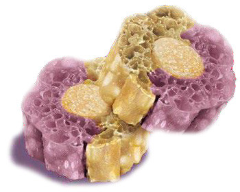 Knash Calming Woofa Bites met paarse zoete aardappel, kamille en kokosolie hondensnack