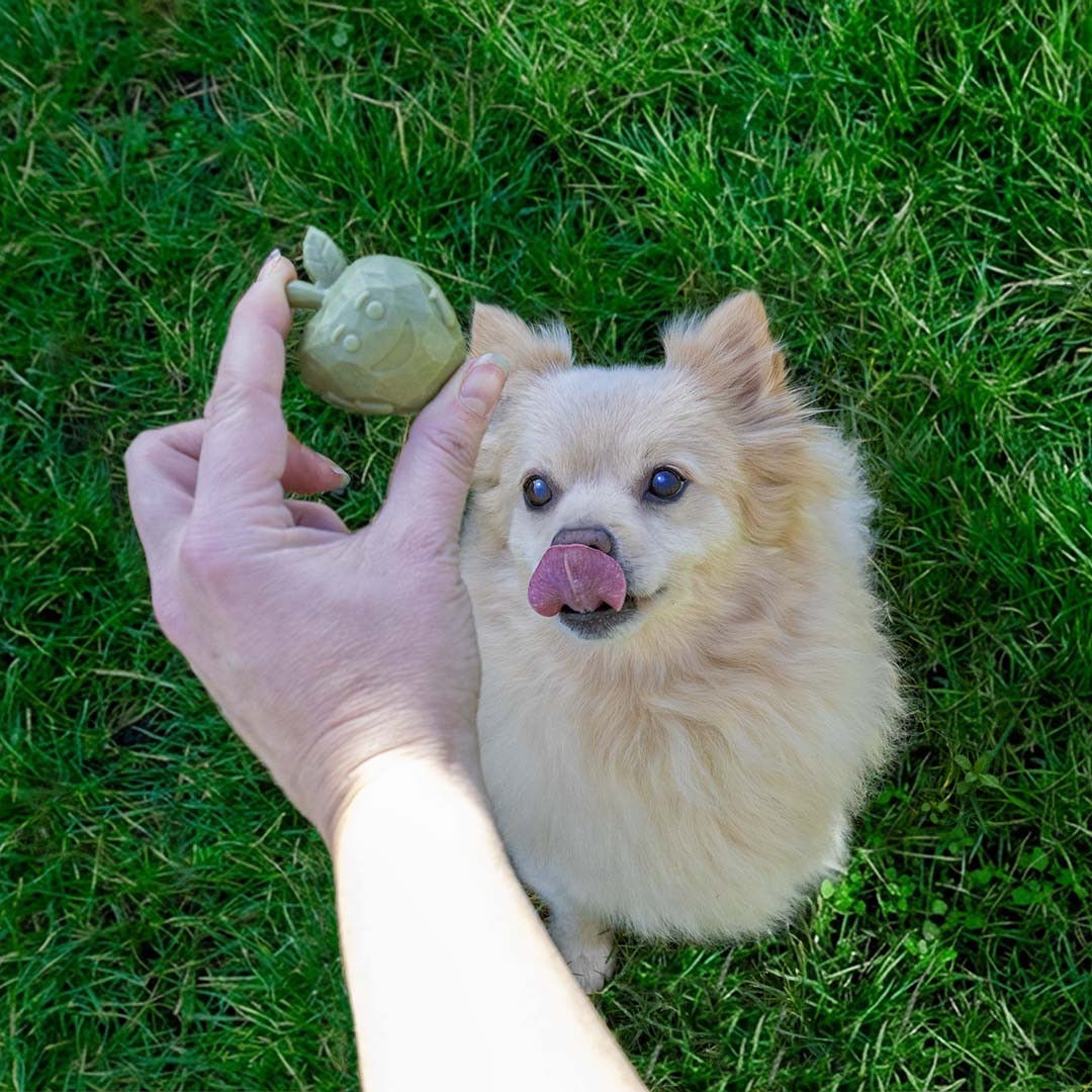 Garden Bites Fruity Buddies hondensnack