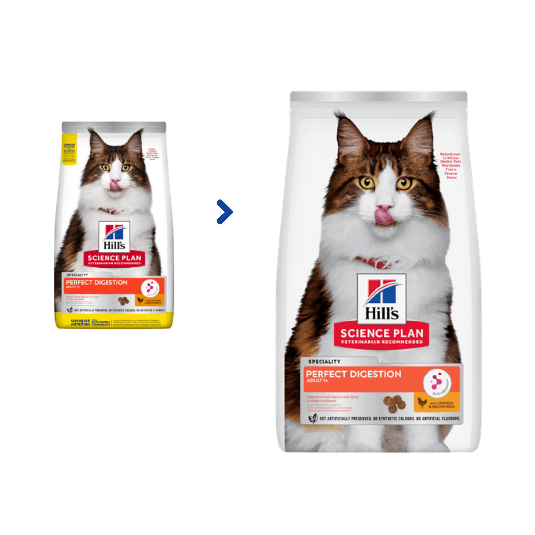 Hill's Adult Perfect Digestion kattfoder