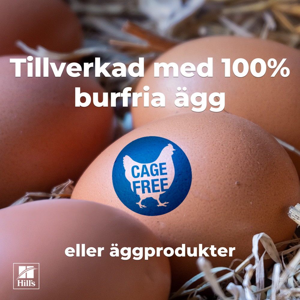 Hill's Kitten & Mother Tender Mousse nat kattenvoer met kip en kalkoen blik