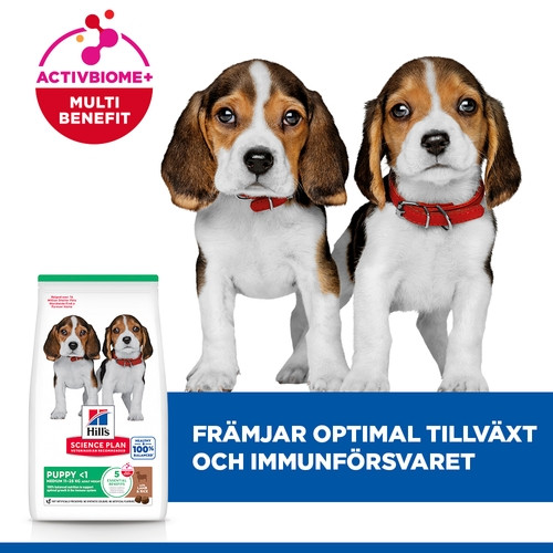 Hill's Puppy Medium hundfoder med lamm & ris