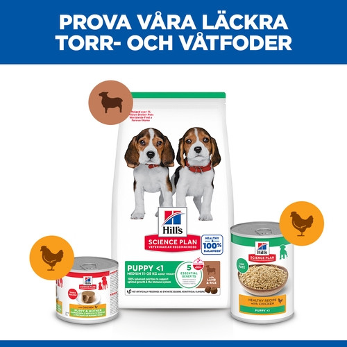 Hill's Puppy Medium hundfoder med lamm & ris