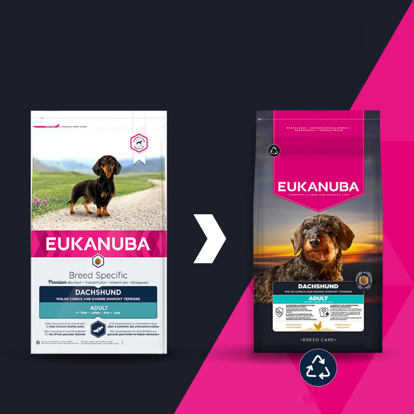 Eukanuba Dachshund adult hondenvoer
