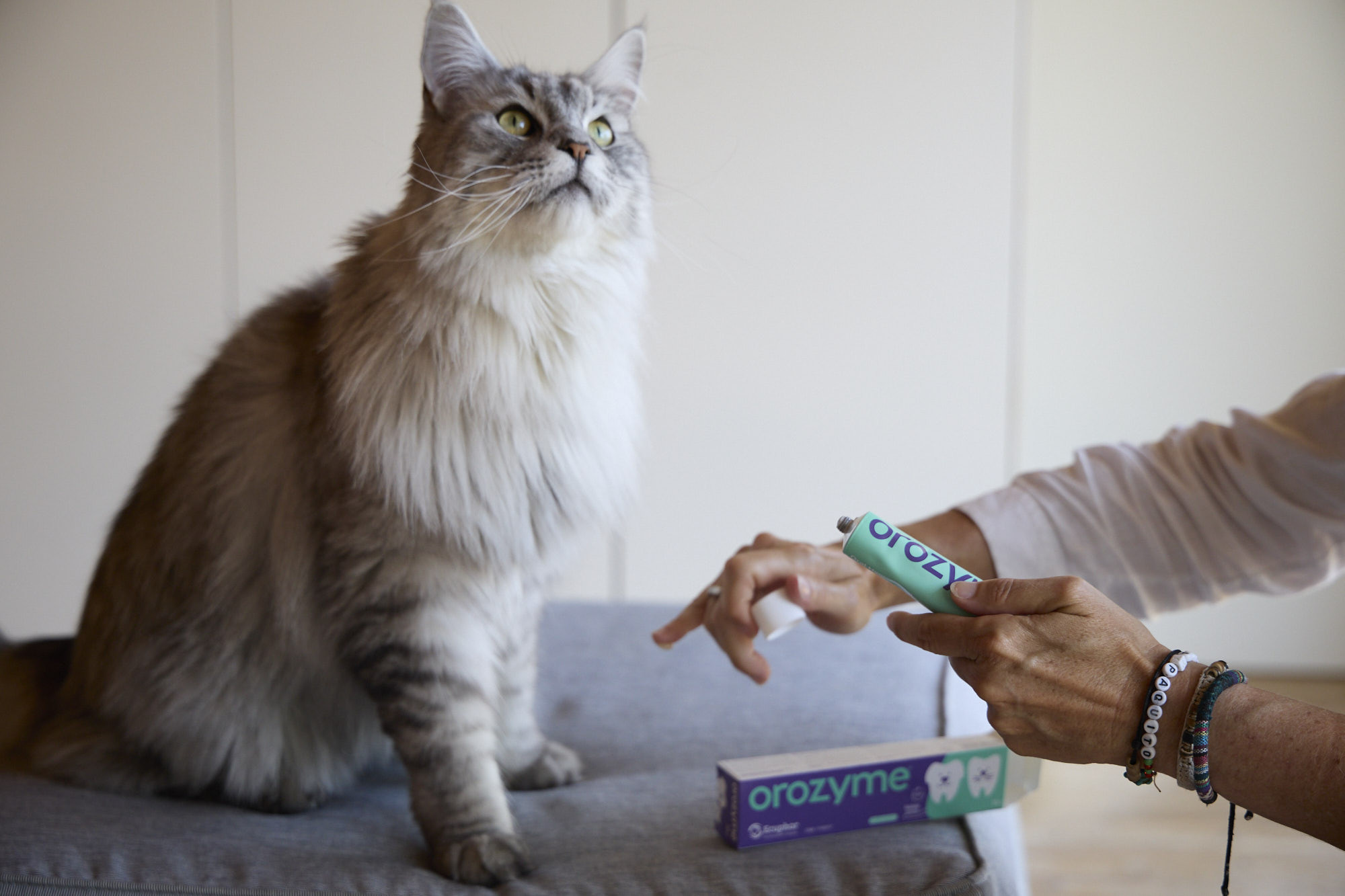 Orozyme Enzymatisk tandkräm för hund och katt