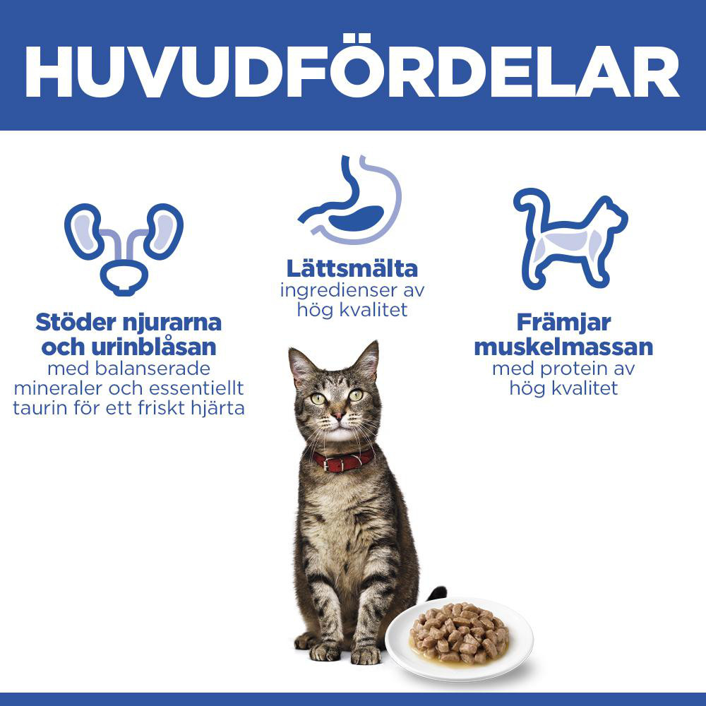 Hill's Mature Adult 7+ nat hondenvoer met rund blik