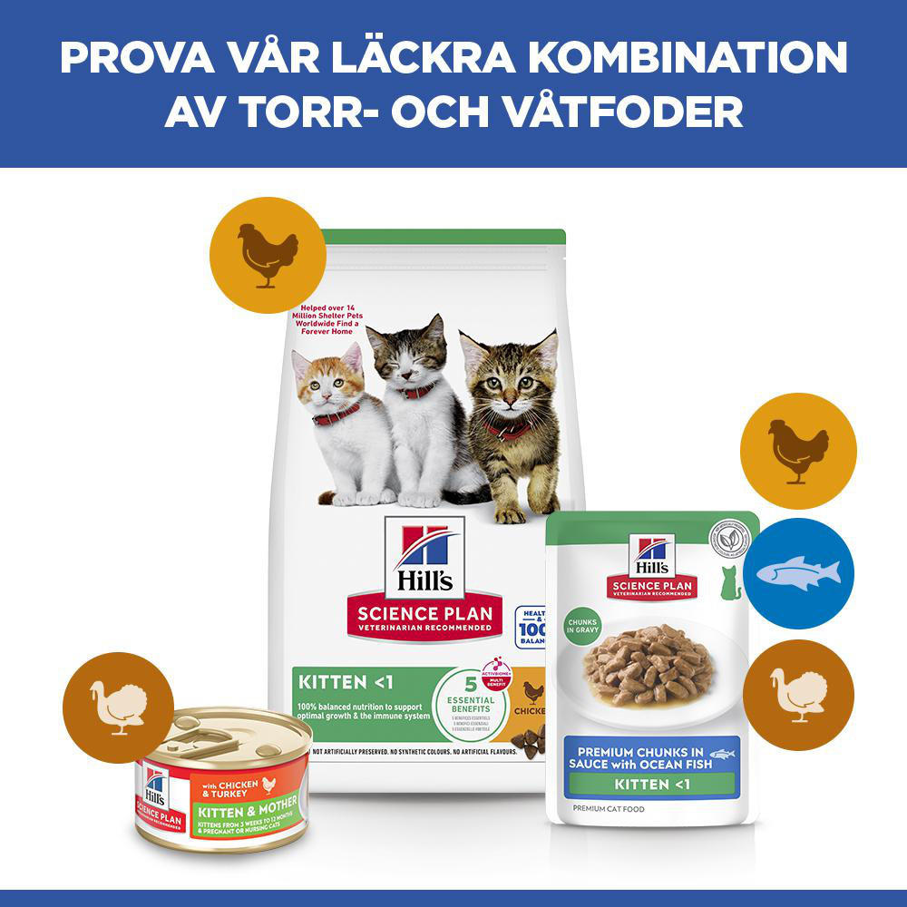 Hill's Kitten nat kattenvoer met zeevis maaltijdzakje multipack