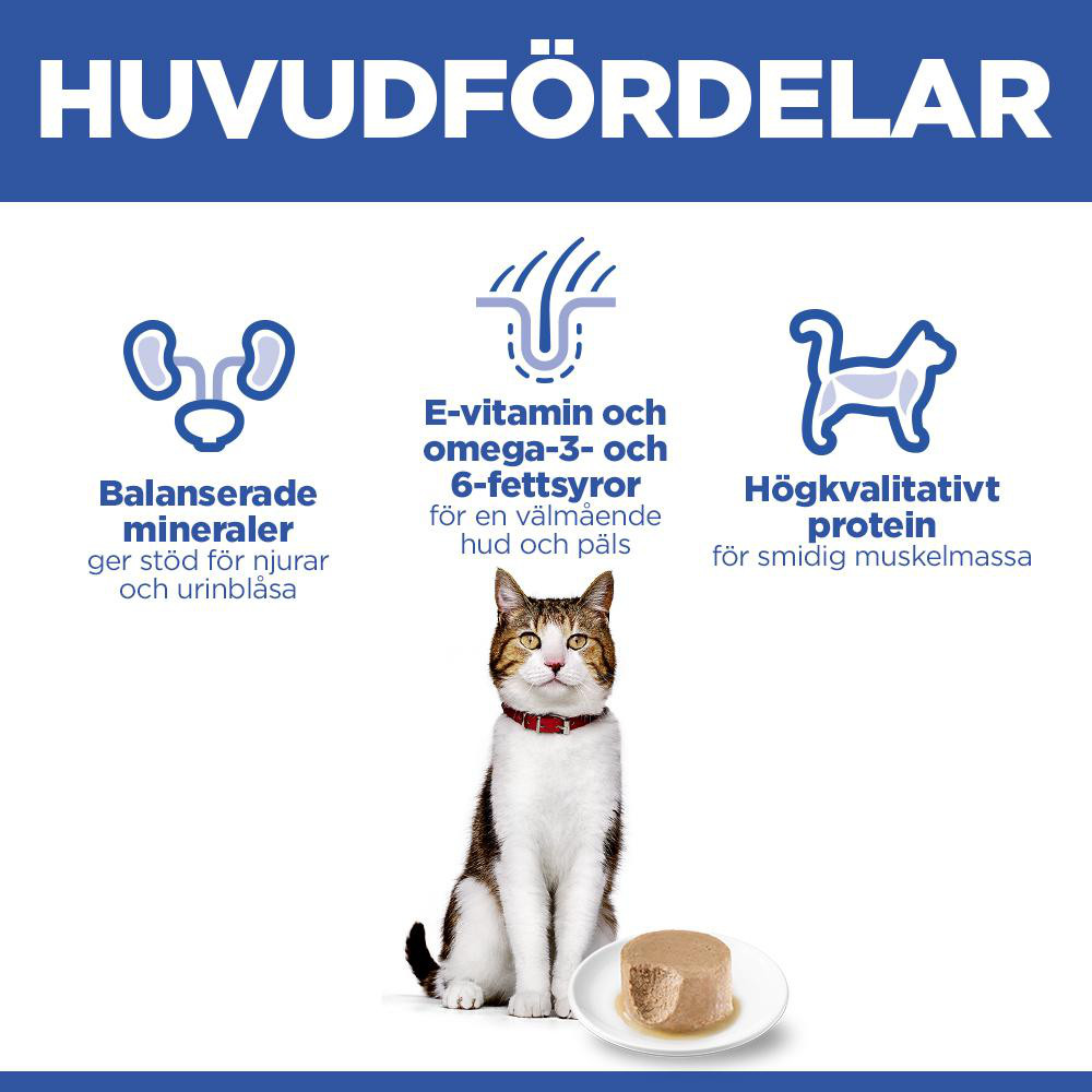 Hill's Mature Adult våtfoder katt med lax (mousse, burk)