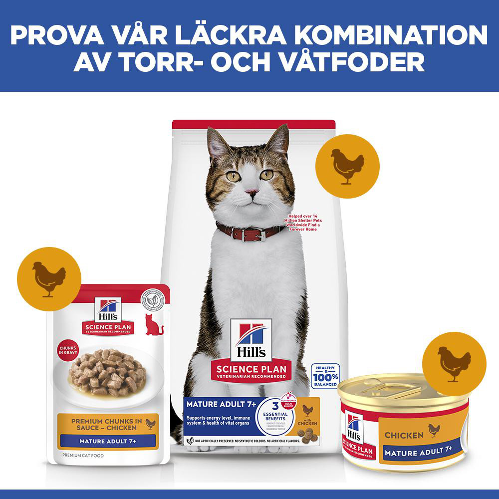 Hill's Mature Adult våtfoder katt med lax (mousse, burk)