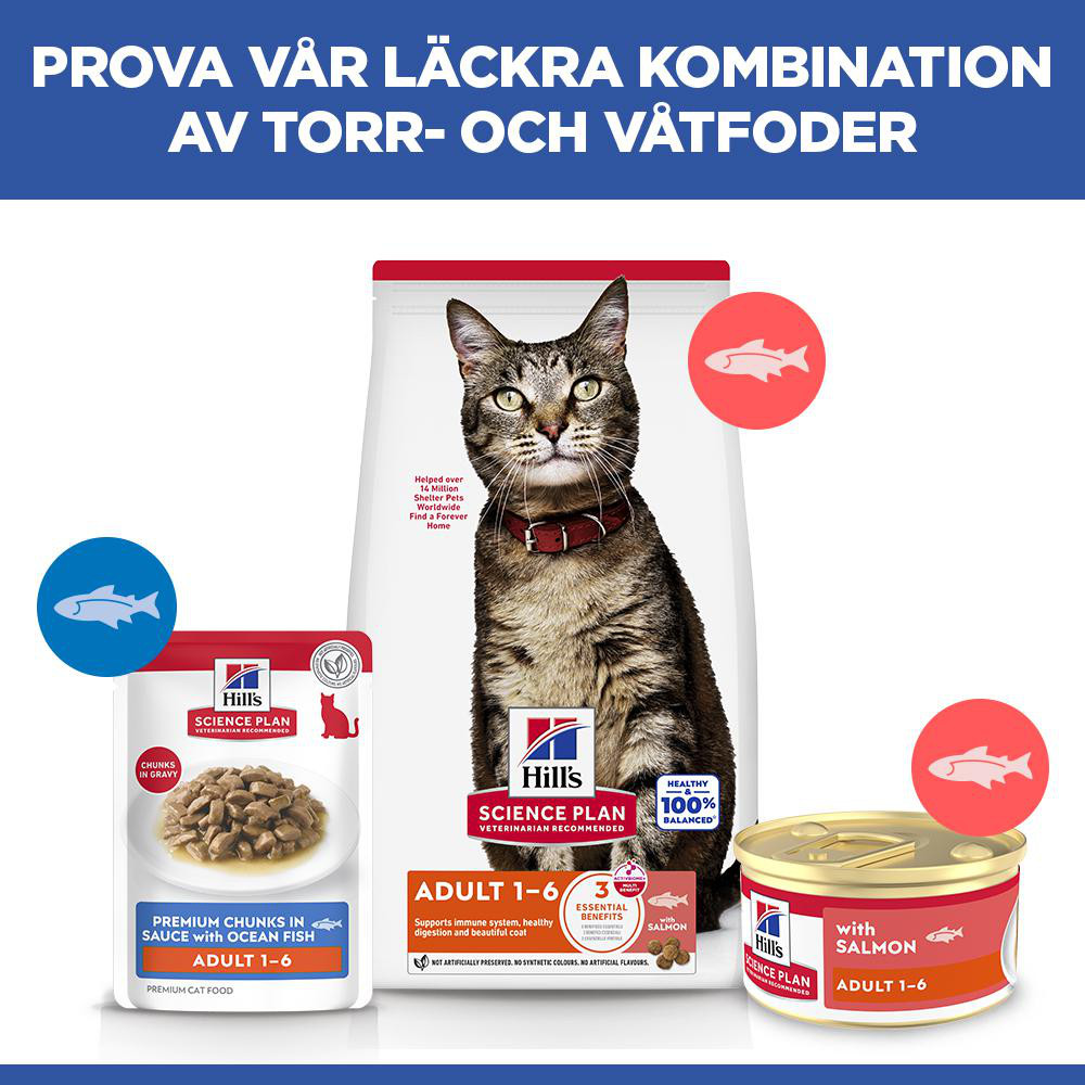 Hill's Adult våtfoder katt med lax (mousse, burk)