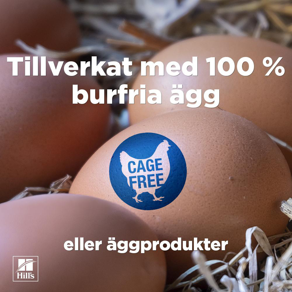 Hill's Adult Sterilised Cat våtfoder katt med kyckling (mousse, burk)