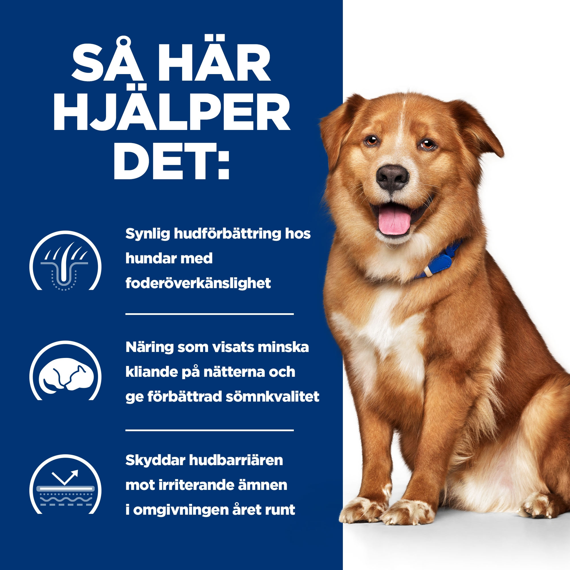 Hill's Prescription Diet Derm Complete nat hondenvoer (370 g blik)