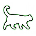 Hud- och pälsproblem katt