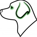 Ögon- och öronvård hund