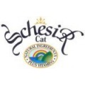 Schesir våtfoder katt